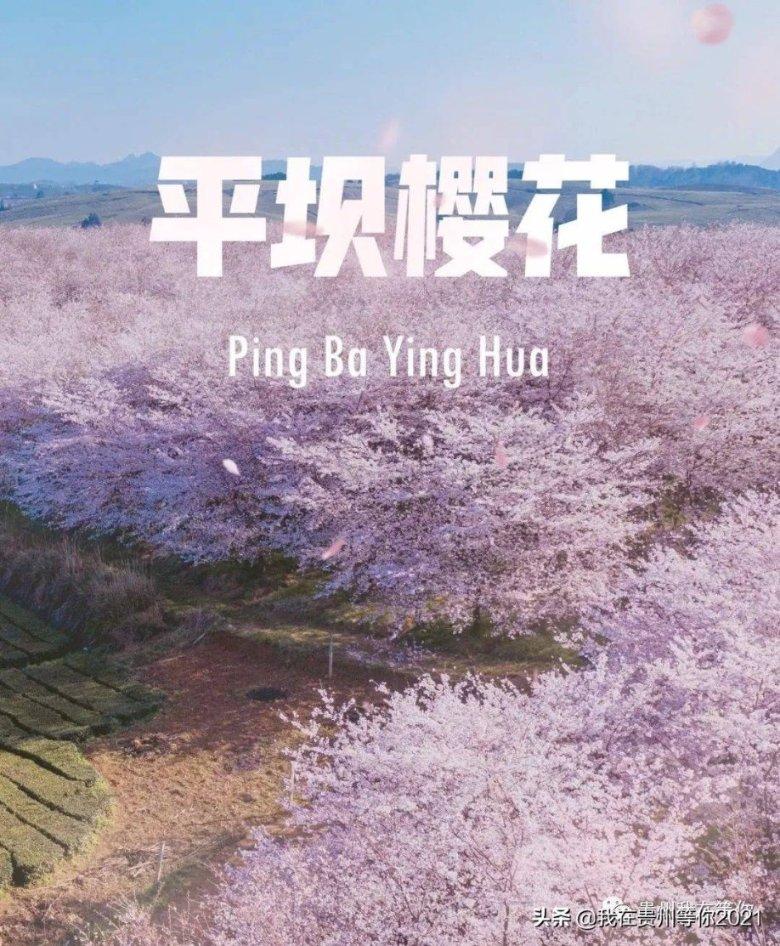拯救巧虎2