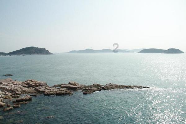 泡沫森林