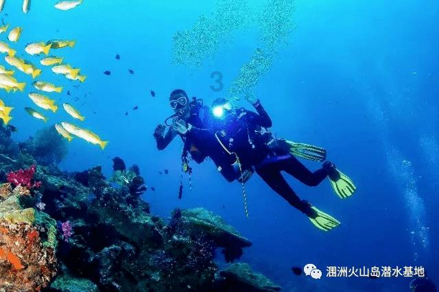 初入职场的新人要怎么做到不让老员工反感？游戏画面
