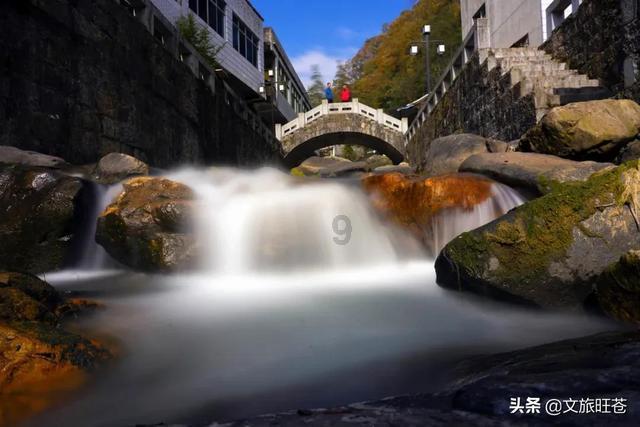 海南“村VA”迎春赛｜赶羊赶猪赶鸭子，你“赶”过椰子吗？